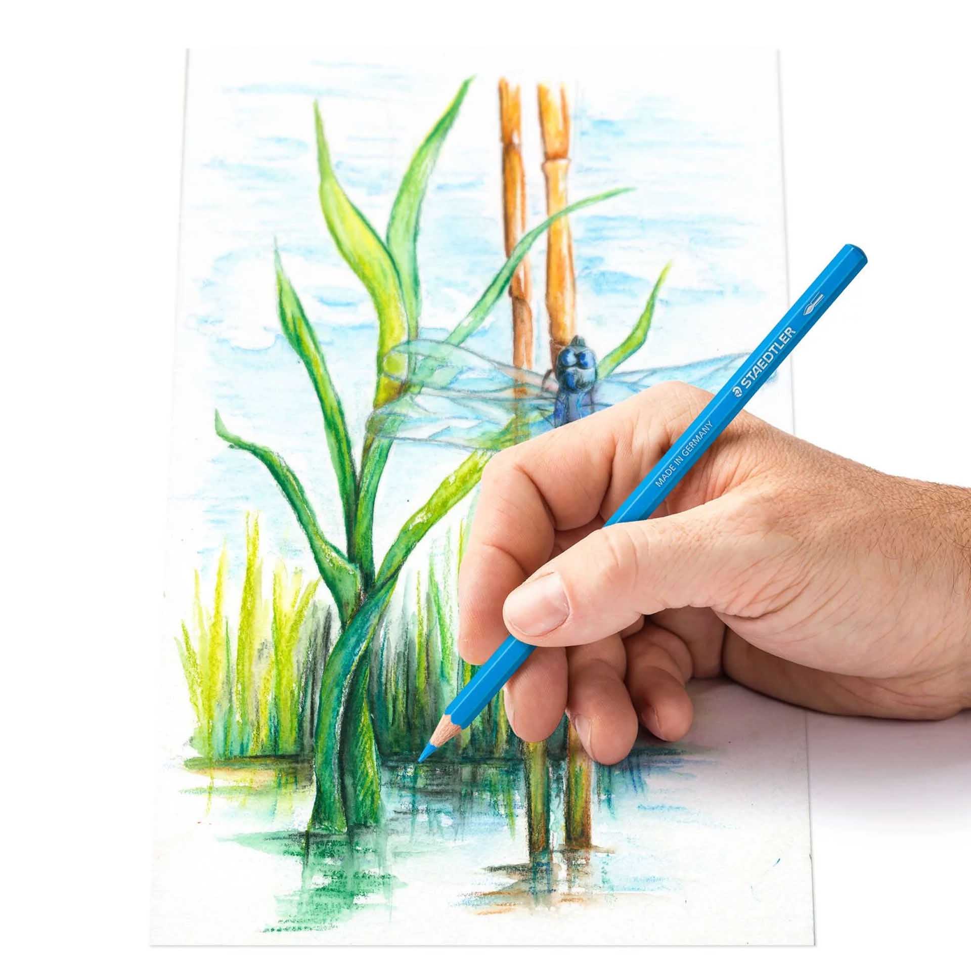 Lápis Cor Staedtler Aquarela 12 Cores