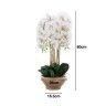 Vaso Decorativo Orquídea Cor Sortida 28X16.5X80cm Vaso Decorativo Orquídea Cor Sortida 28X16.5X80cm