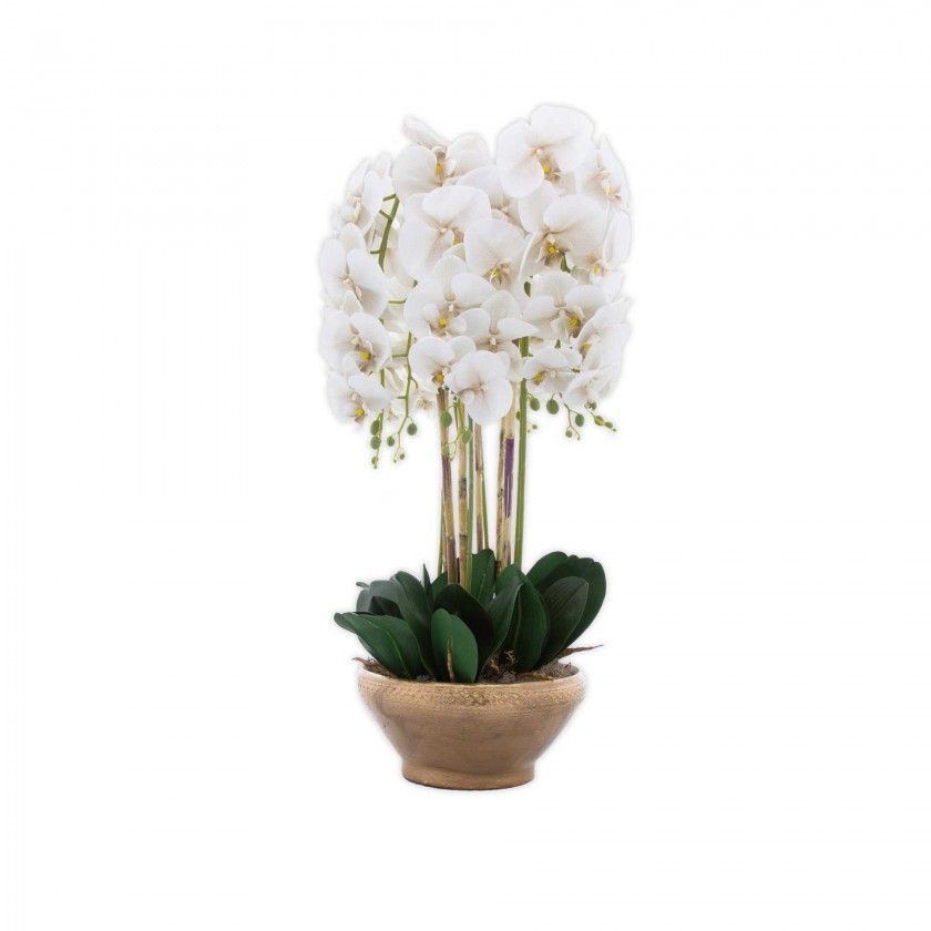 Vaso Decorativo Orqudea Cor Sortida 28X16.5X80cm