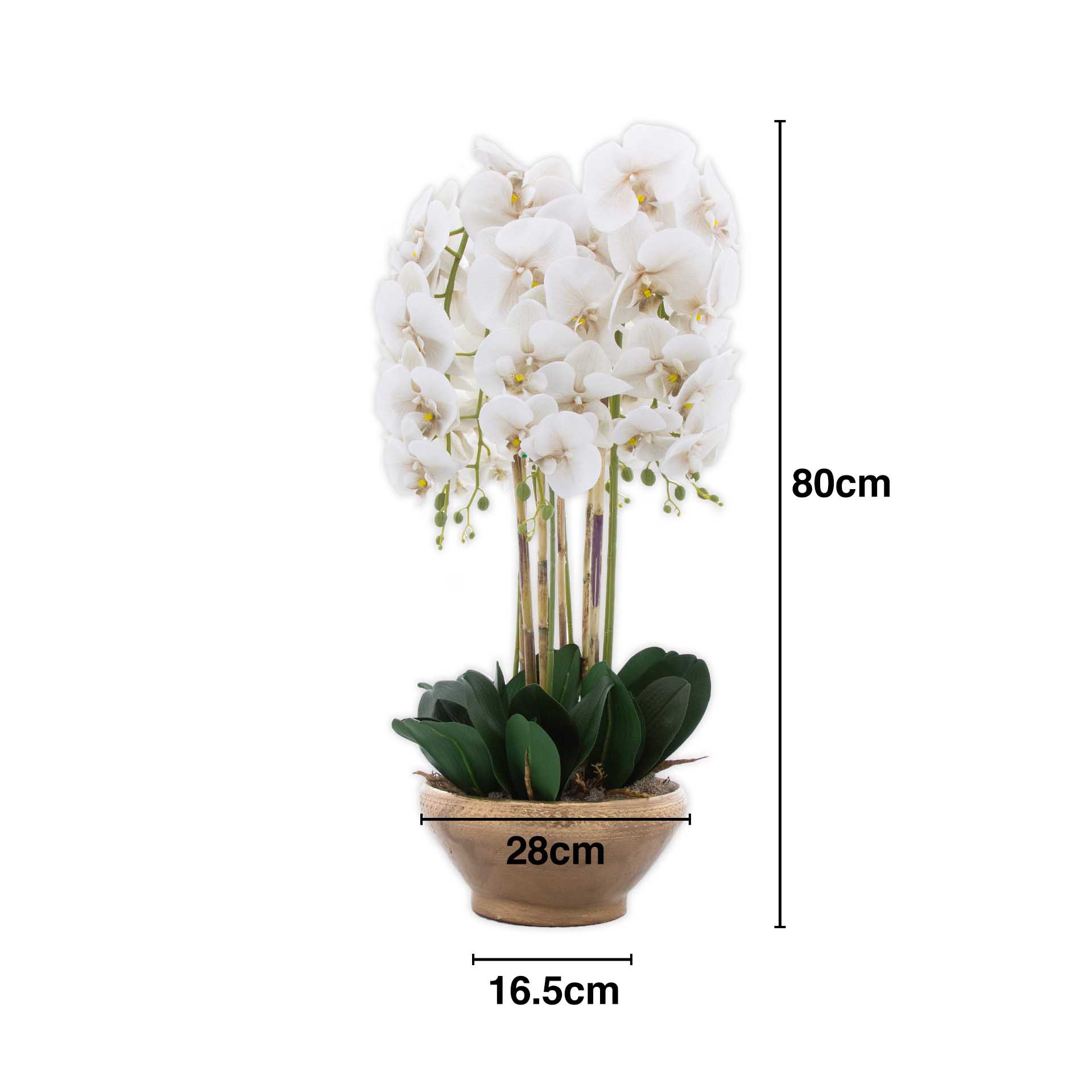 Vaso Decorativo Orquídea Cor Sortida 28X16.5X80cm