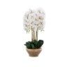 Vaso Decorativo Orquídea Cor Sortida 28X16.5X80cm Vaso Decorativo Orquídea Cor Sortida 28X16.5X80cm