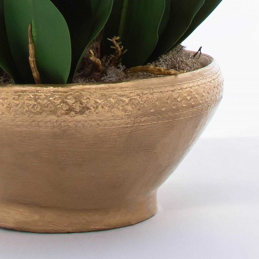 Vaso Decorativo Orquídea Cor Sortida 28X16.5X80cm Vaso Decorativo Orquídea Cor Sortida 28X16.5X80cm