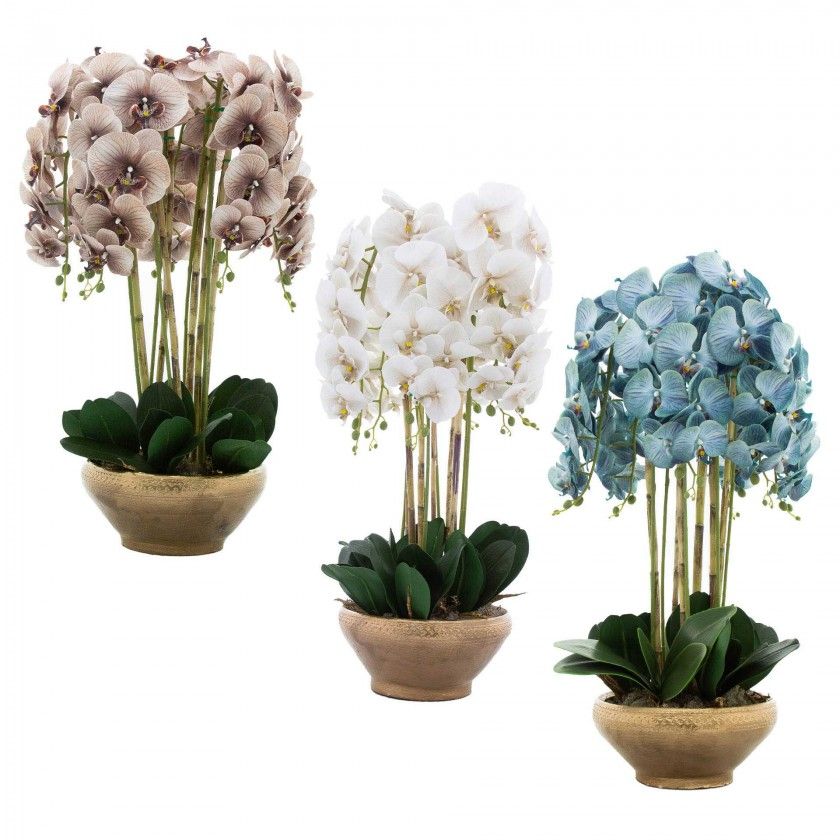 Vaso Decorativo Orquídea Cor Sortida 28X16.5X80cm Vaso Decorativo Orquídea Cor Sortida 28X16.5X80cm