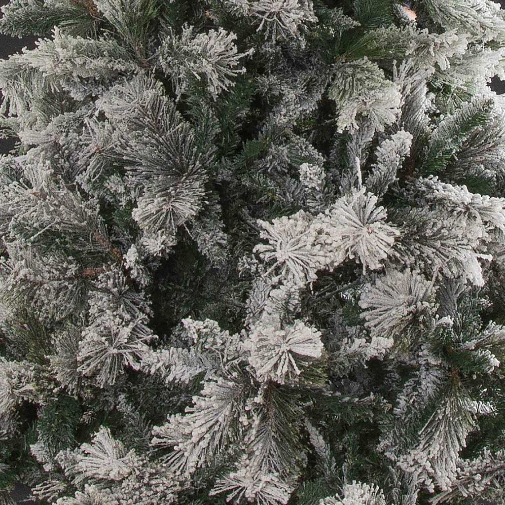 Árvore Natal com Neve Multicor 240cm