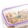 Caixa Hermtica com Vlvula Frost 37cl 15X11X6cm