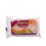 Esponja Banho Oval 15X5cm