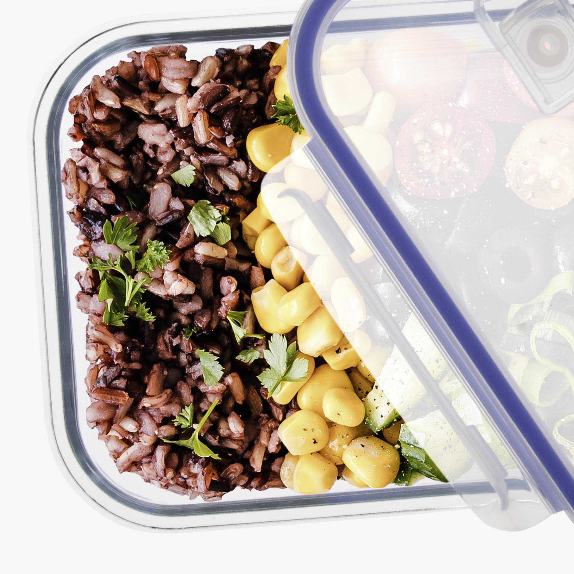 Caixa Hermética Vidro Colibri Retangular 350ml 15X11X6cm