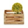 Caixa Decorativa Madeira Natural 16X10.5X8.5cm Caixa Decorativa Madeira Natural 16X10.5X8.5cm