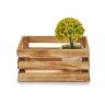 Caixa Decorativa Madeira Natural 20X13X9cm Caixa Decorativa Madeira Natural 20X13X9cm