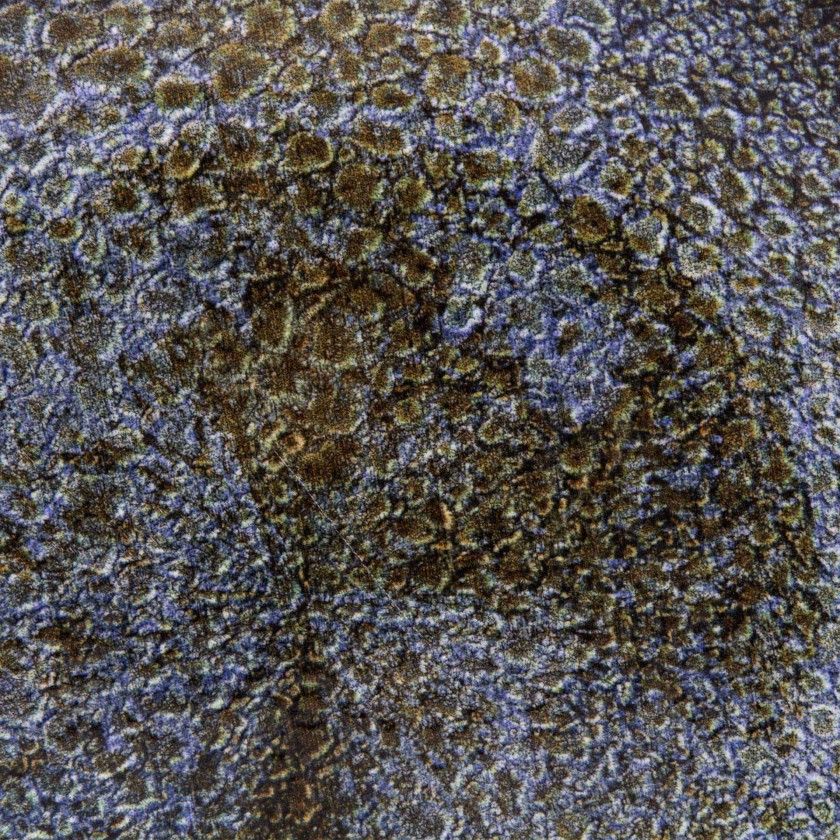 Prato Raso Vessia Azul 26.5X2.5cm Prato Raso Vessia Azul 26.5X2.5cm