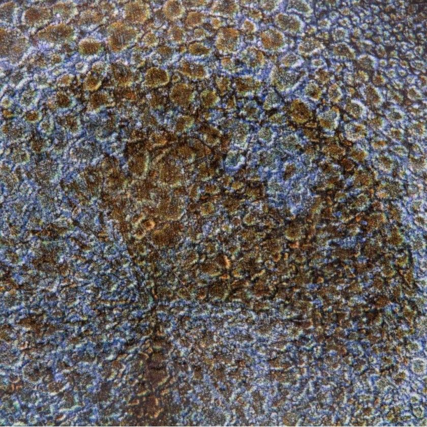 Prato Sobremesa Vessia Azul 20.3X2.5cm Prato Sobremesa Vessia Azul 20.3X2.5cm