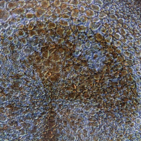 Prato Sobremesa Vessia Azul 20.3X2.5cm - Image product