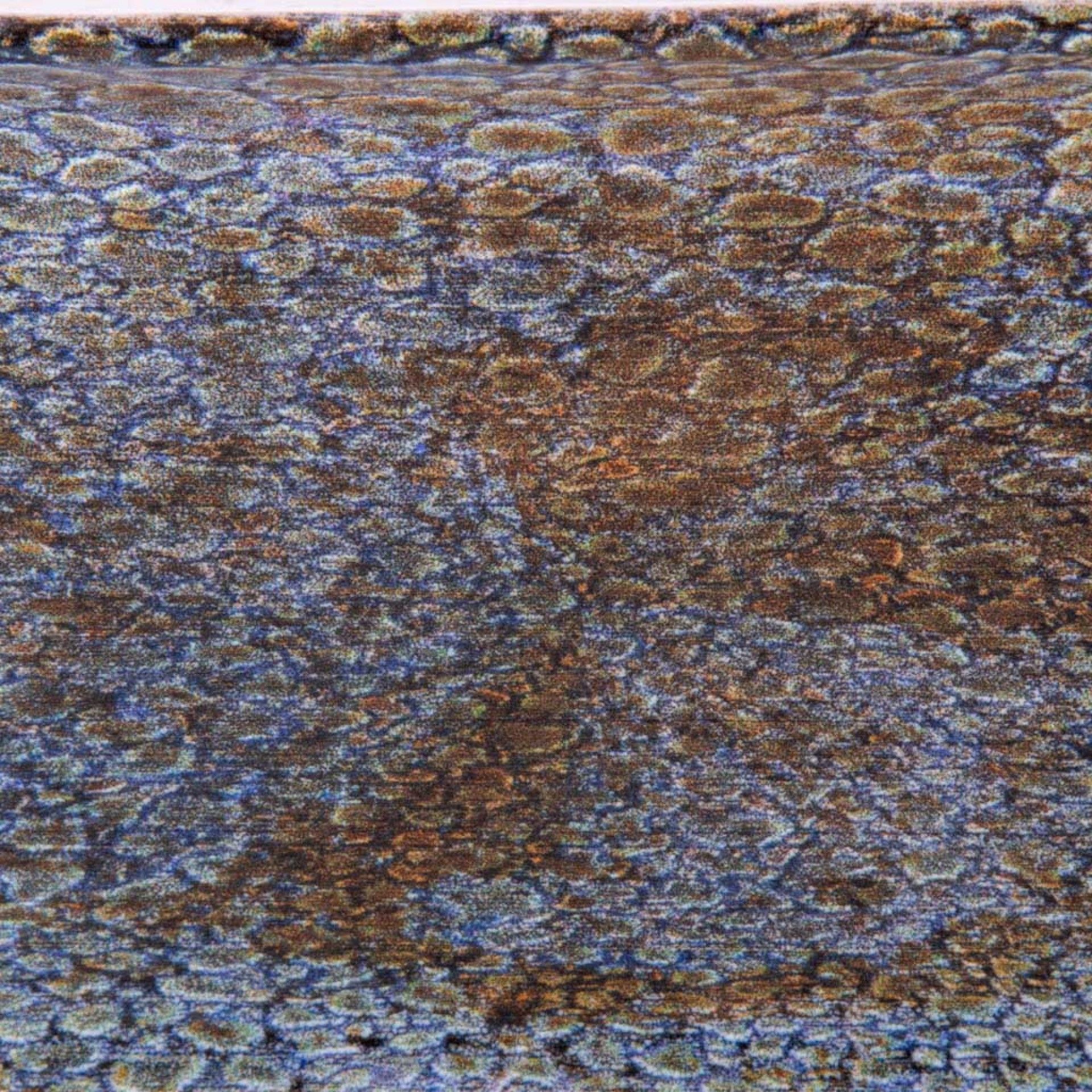 Travessa Porcelana Vessia Oval 34.5X15X2.5cm