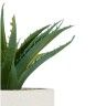 Vaso Planta Artificial Branco 14X18cm Vaso Planta Artificial Branco 14X18cm