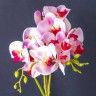 Vaso Orqudea 50cm