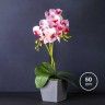 Vaso Orqudea 50cm