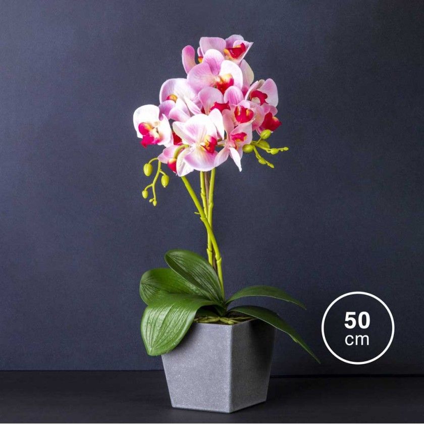 Vaso Orqudea 50cm