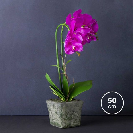 Vaso Orquídea 50cm - Image product