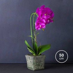 Vaso Orqudea 50cm