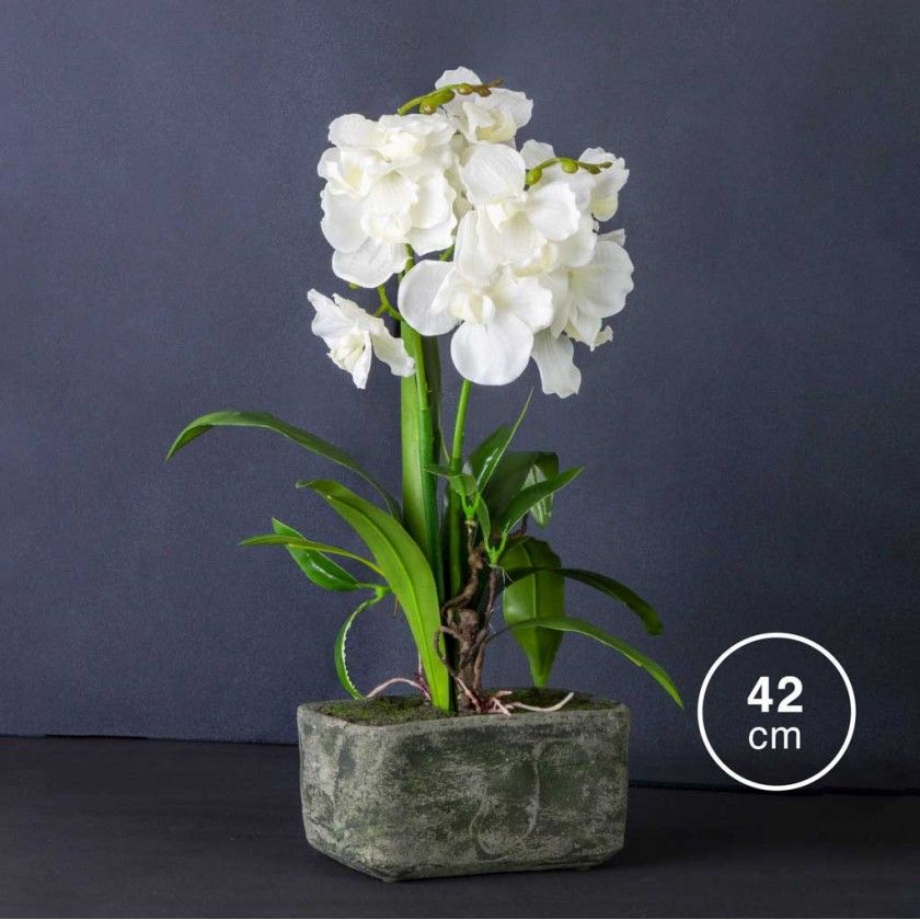 Vaso Orqudea 42cm