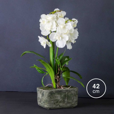 Vaso Orquídea 42cm - Image product
