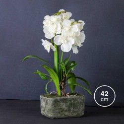 Vaso Orqudea 42cm