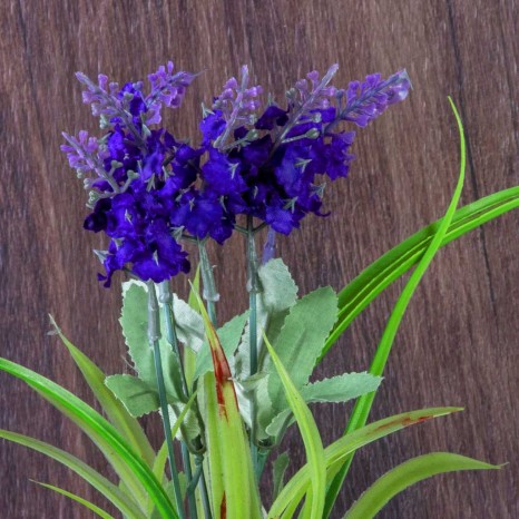Vaso Lavanda 27cm - Image product