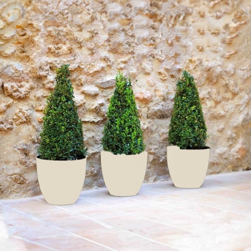 Vaso Plstico Tes Redondo Ecru 30L 38X33cm