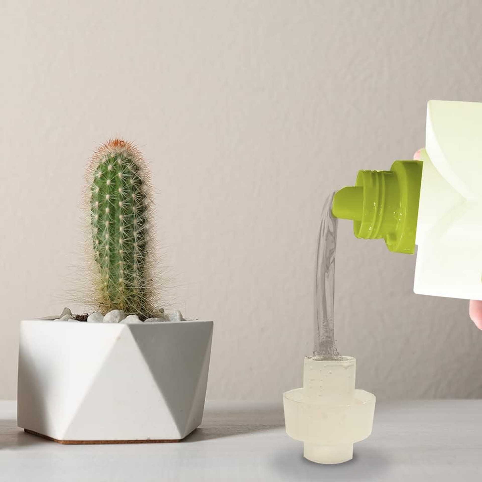 Fertilizante Líquido para Cactos 300ml