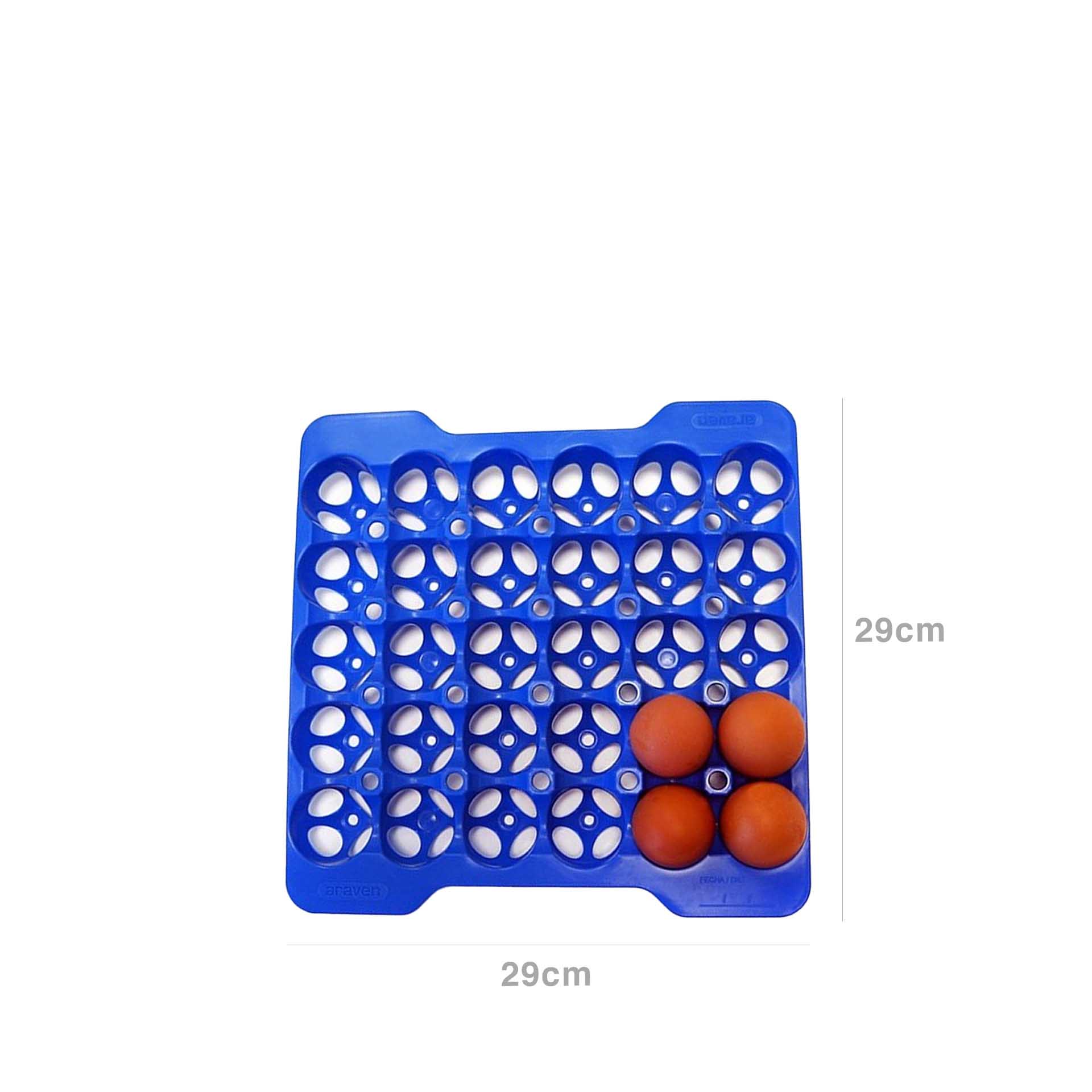 Bandeja Porta Ovos Gn2/3 Azul 29X29X4cm Pack 4