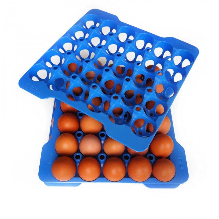 Caixa Hermética Porta Ovos Gn2/3 4 Bandejas 9L 35.4X32.5X20cm Caixa Hermética Porta Ovos Gn2/3 4 Bandejas 9L 35.4X32.5X20cm