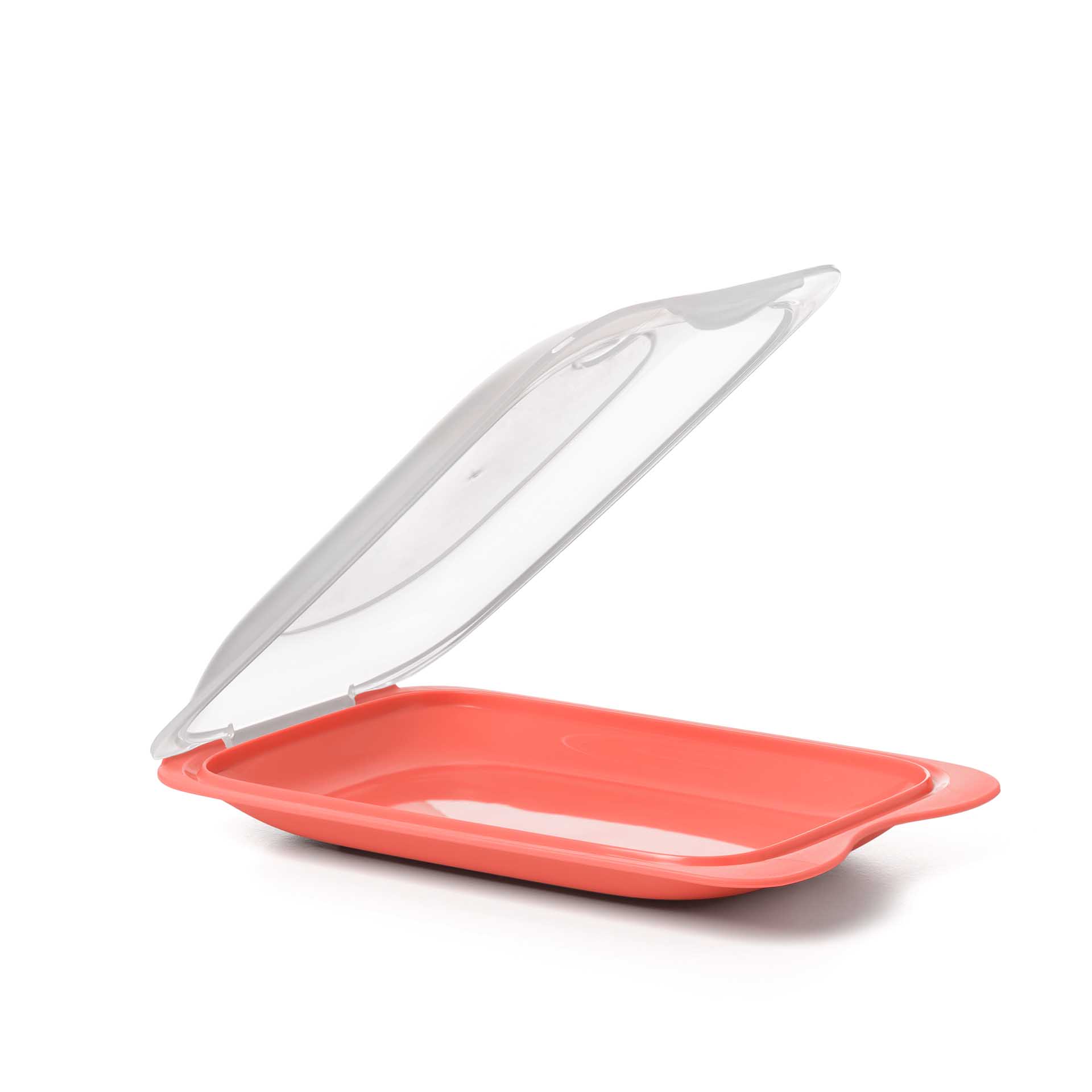 Caixa Hermética Tatay Porta Charcutaria Fresh 25X17X6CM