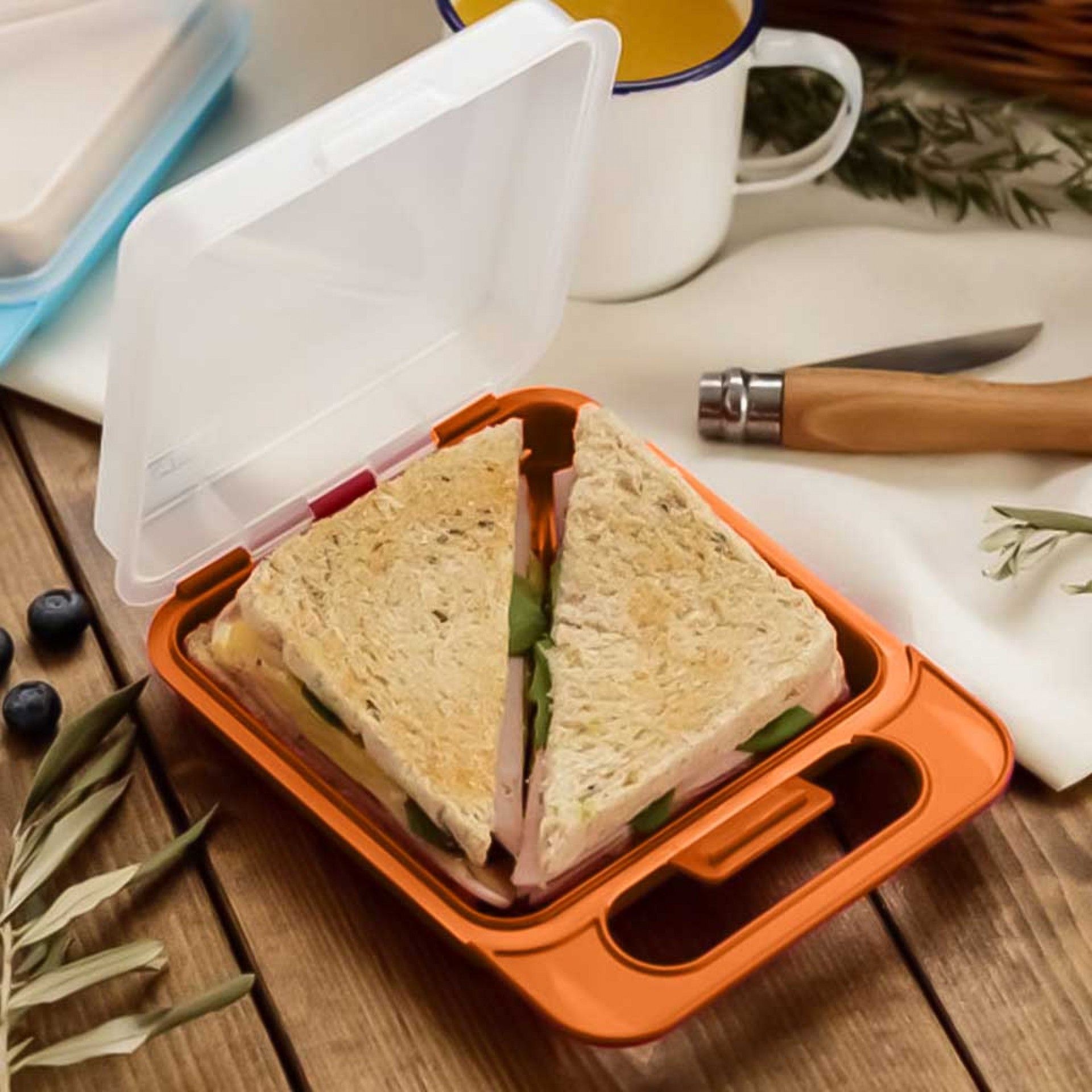 Caixa Hermética Tatay Porta Sandes Laranja 14X14X18CM