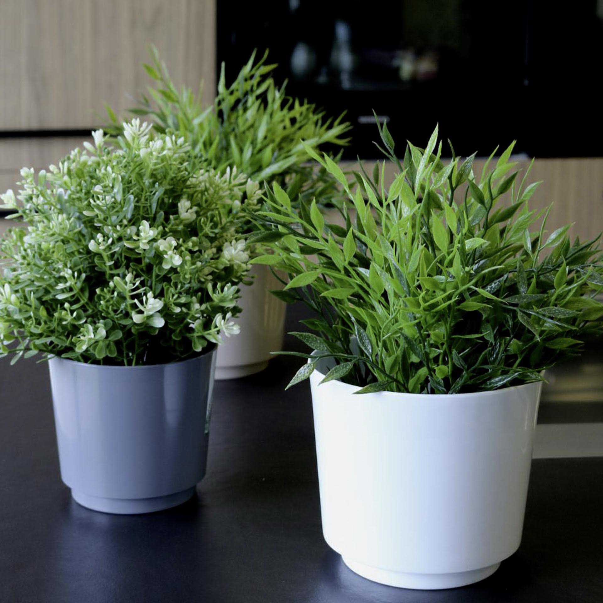 Vaso Polipropileno Beclassic Redondo 9X8cm