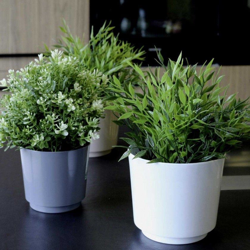 Vaso Polipropileno Beclassic Redondo 9X8cm Vaso Polipropileno Beclassic Redondo 9X8cm