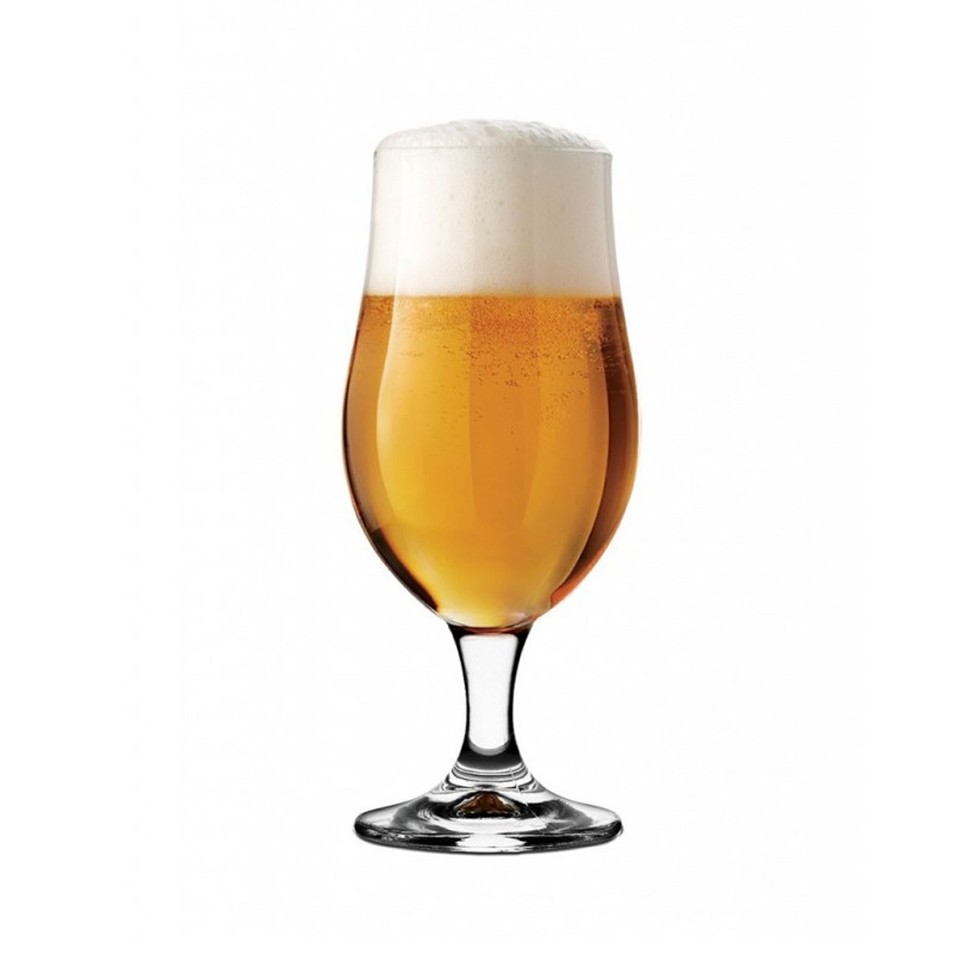 Copo Cerveja Munique 26cl 5.5X16.5cm Pack 6