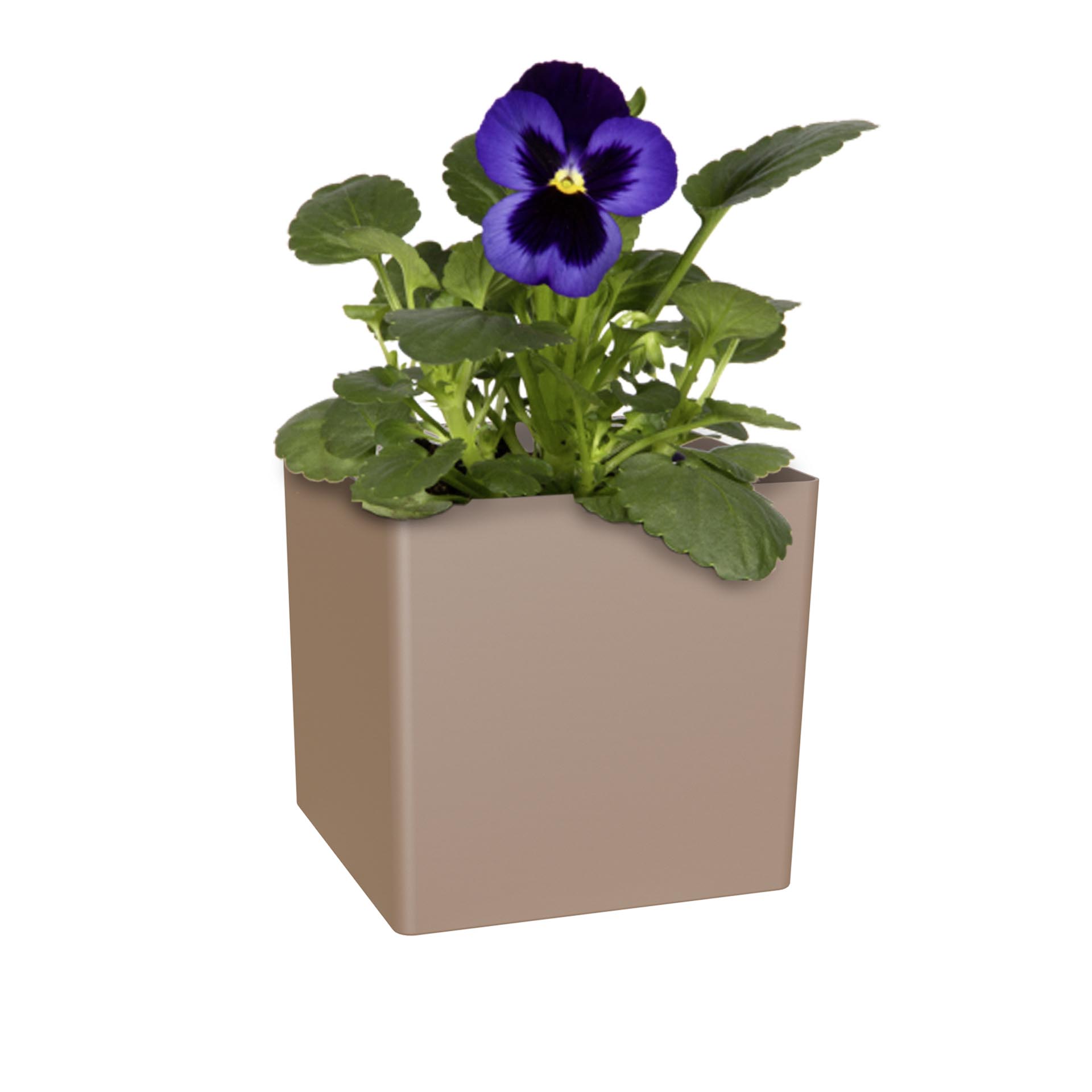 Vaso Oslo 10.5X10.5cm 1L Tortora Mate