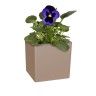 Vaso Oslo 10.5X10.5cm 1L Tortora Mate Vaso Oslo 10.5X10.5cm 1L Tortora Mate