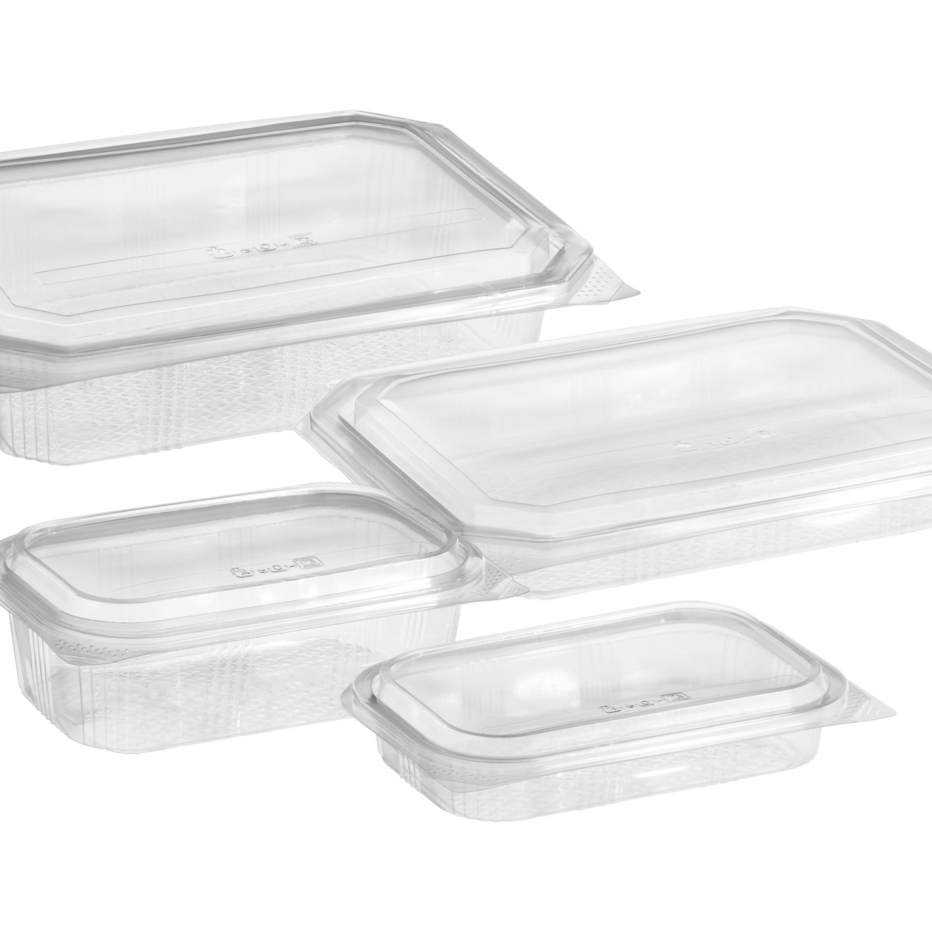 Caixa Take Away 500ml 22.5X14.9X4.8cm Pack 64
