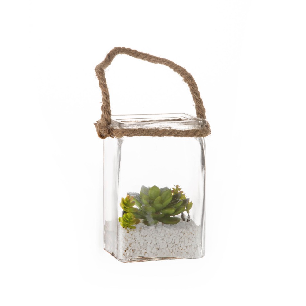 Planta Suspensa Vidro Retangular 16cm