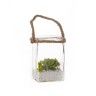 Planta Suspensa Vidro Retangular 16cm Planta Suspensa Vidro Retangular 16cm