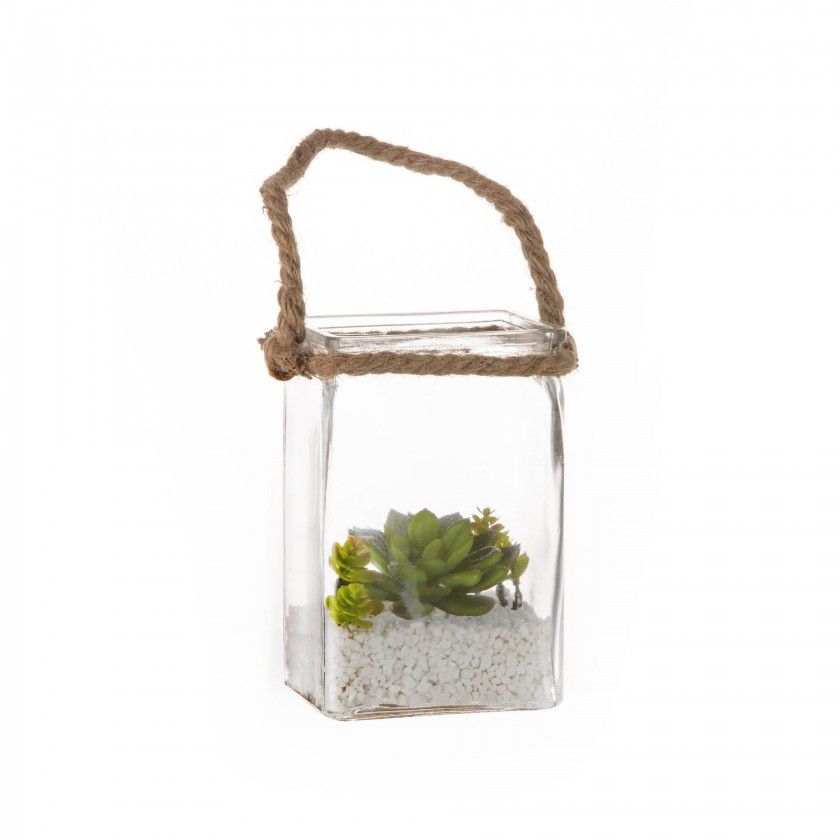 Planta Suspensa Vidro Retangular 16cm