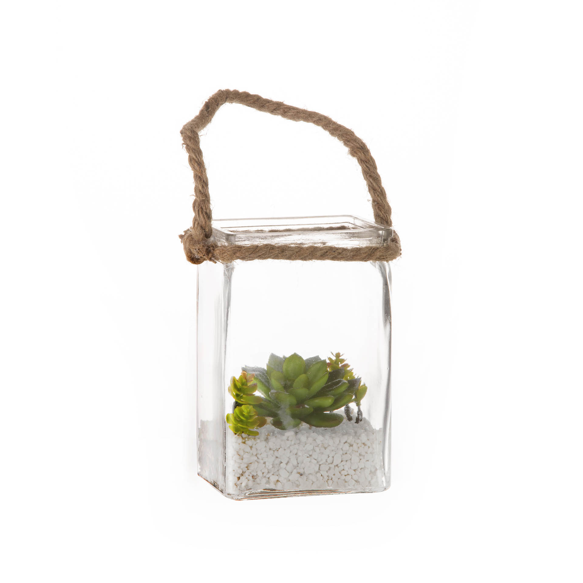 Planta Suspensa Vidro Retangular 16cm