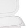 Caixa Take Away 2000ml 31X23.5X7.5cm Pack 40
