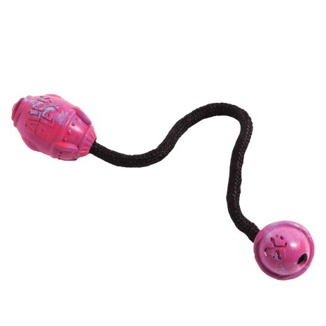 Brinquedo Pet Dashi Multicor - Image product