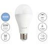 Lmpada Led Standard E27 20W Luz Fria