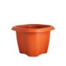 Vaso Oct Terracota Vaso Oct Terracota