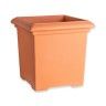 Terracota