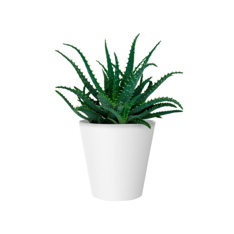 Vaso Porto Redondo - Image product