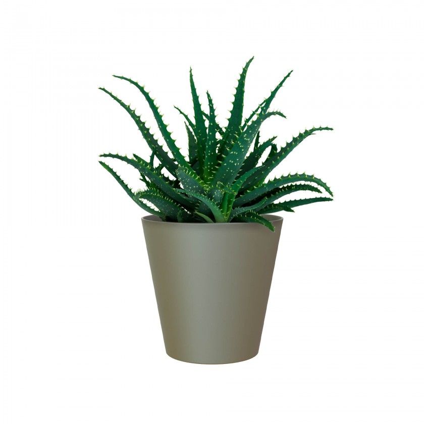 Vaso Porto 14.3X14cm 1.5L Verde Seco